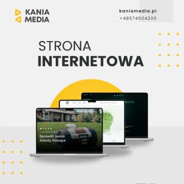 Profesjonalna Strona Internetowa dla Twojej Firmy