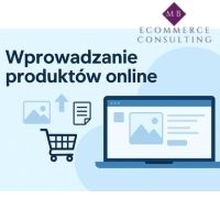 Wprowadzanie produktów do e-sklepu/marketplace
