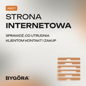 Audyt strony internetowej - Spotkanie online