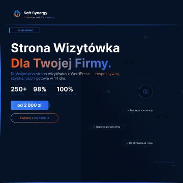 Profesjonalna strona wizytówka – fundament obecności firmy w internecie
