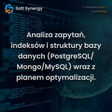 Audyt wydajności bazy danych