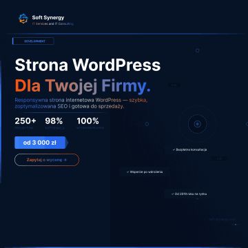 Strona internetowa na WordPress – responsywna i gotowa do edycji