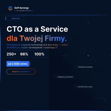 Konsultacje CTO as a Service