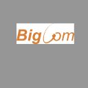 BIGCOM SPÓŁKA Z OGRANICZONĄ ODPOWIEDZIALNOŚCIĄ