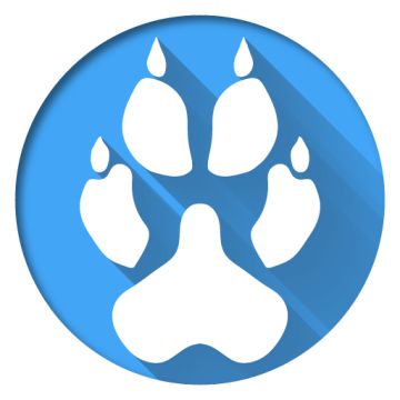 Projekt i wykonanie aplikacji na platformę Android oraz iOS